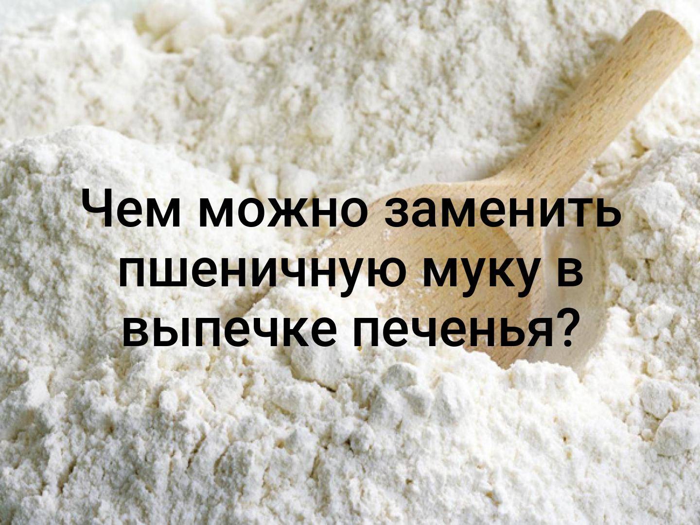 Рецепты из альтернативной муки: 5 рецептов для веганов и не только