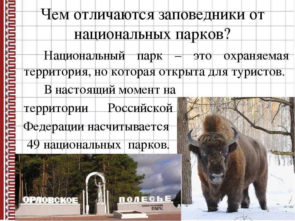 Главные отличия заповедника от заказника заключается. чем отличается заповедник от заказника
