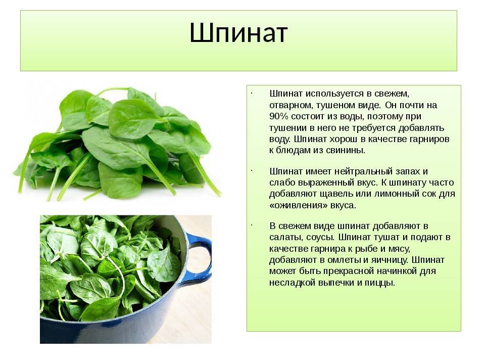 Чем заменить мясо: советы специалиста