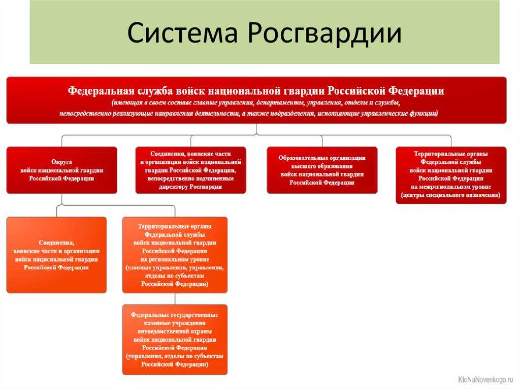 Росгвардия: лучшая альтернатива полиции или излишняя вооруженная сила? | администрация муниципального образования сельское поселение село щелканово