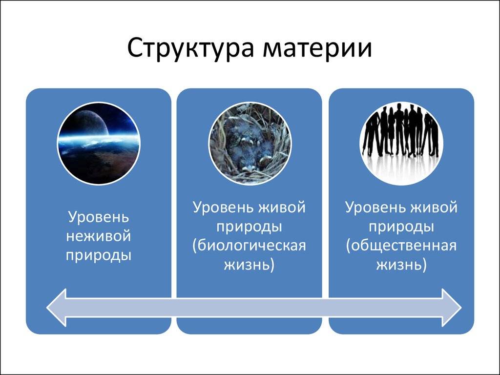 Living vs non-living things: difference and comparison