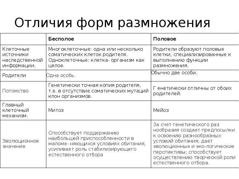 Размножение живых организмов. основные виды