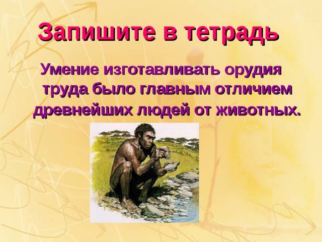 Отличия человека от животного: 12 основных признаков