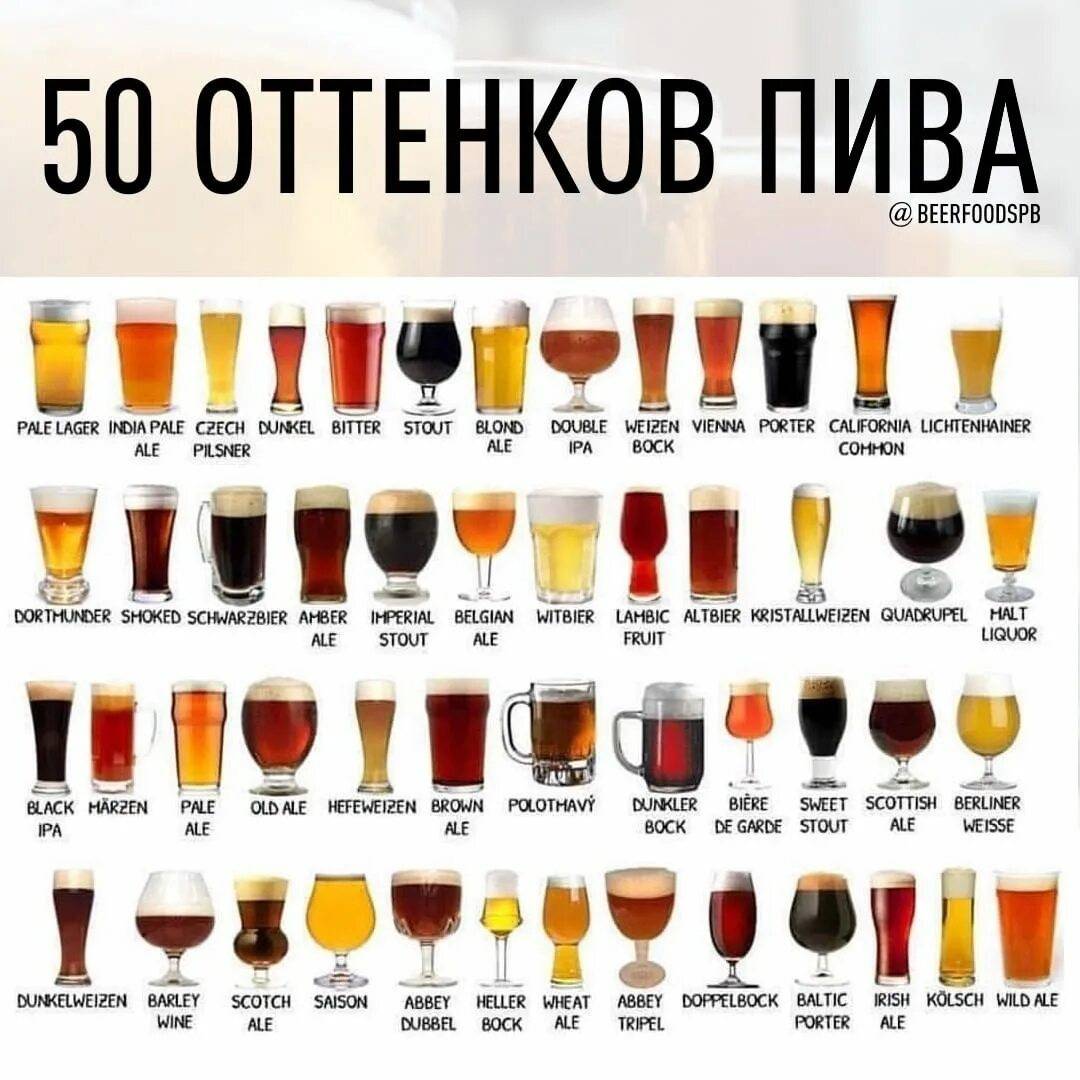 Чем отличается пиво от пивного напитка? - пробокалы