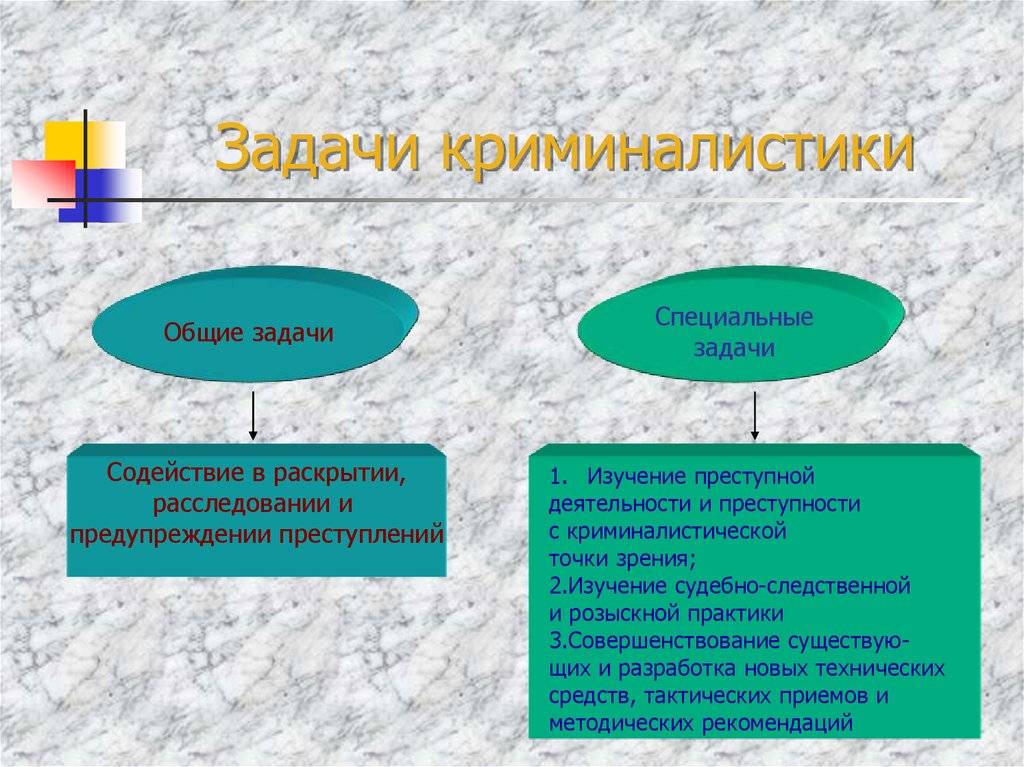 Топ-4 основных предмета криминологии