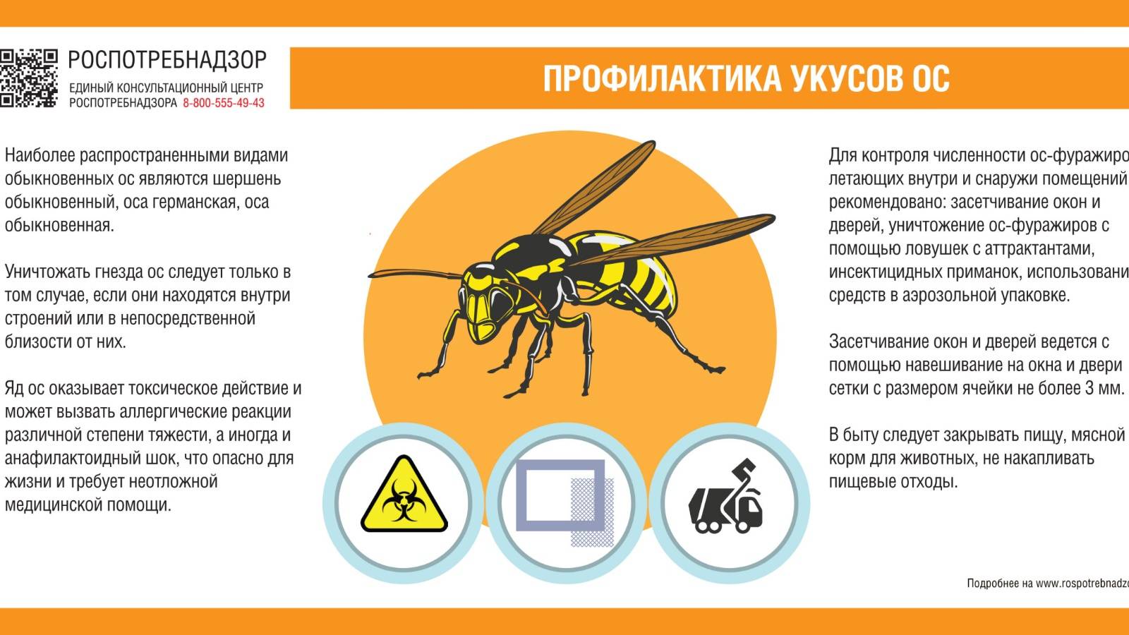 Укус осы польза или вред — как он влияет на человека?