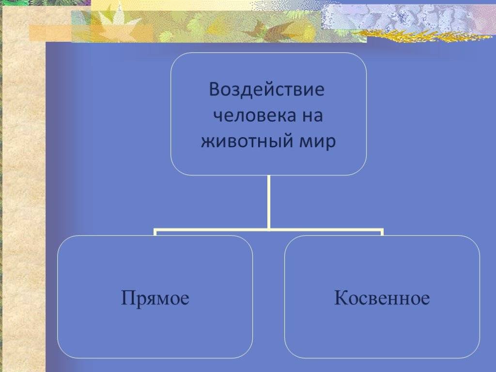 Влияние человека на природу: плюсы и минусы