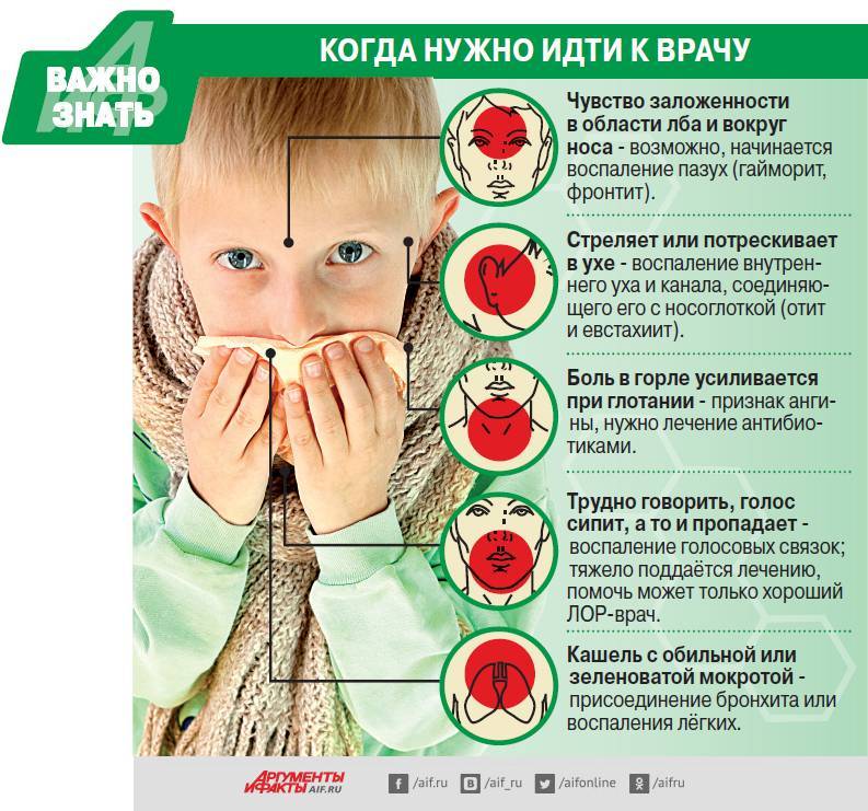 Первый симптом «кентавра» – боль в горле. как бороться?
