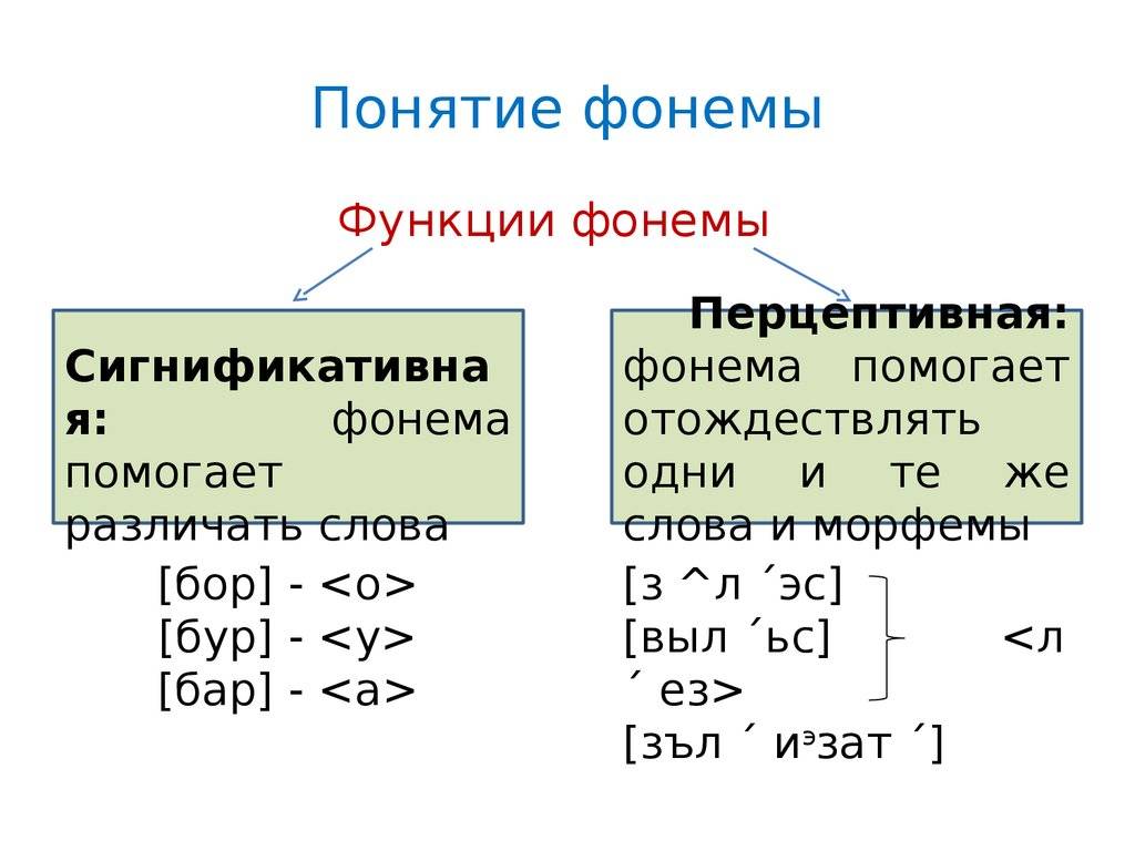 Разница между фонемой и звуком в русском языке
