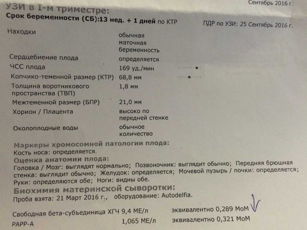 Чем отличается узи скрининг от просто узи?
