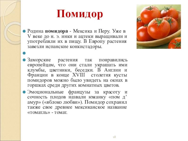 Помидоров или помидор как пишется