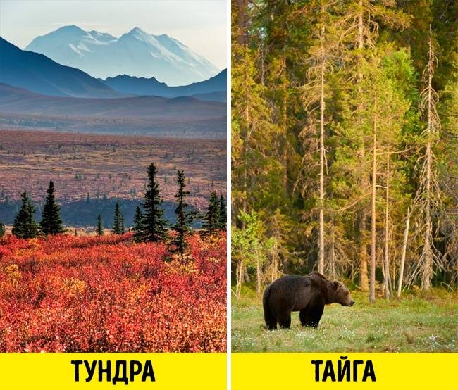 Природные зоны
