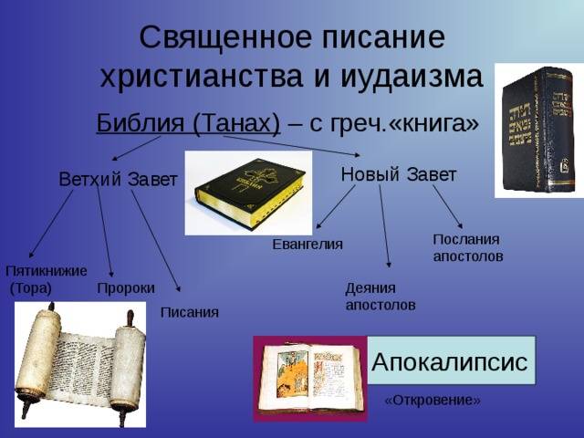 Сравнение торы и корана: сходства больше, чем различий