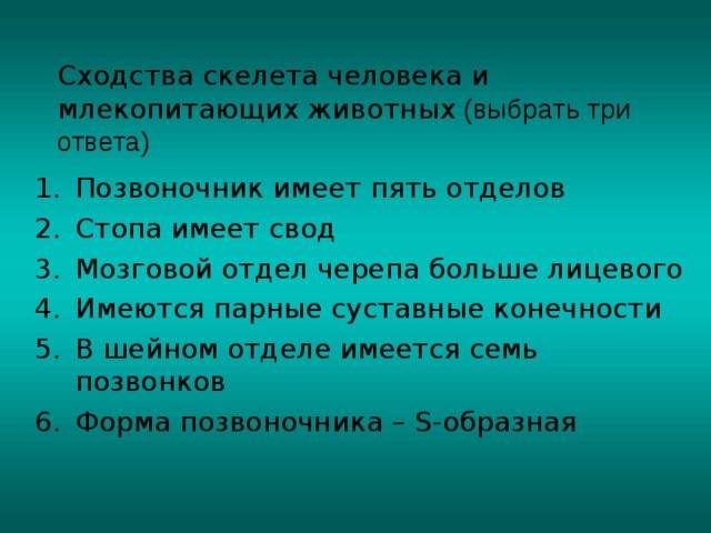 Сравнение скелета человека и скелета млекопитающих животных - основные анатомические различия - znanietips.ru