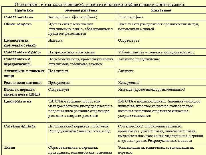 Чем животные отличаются от растений