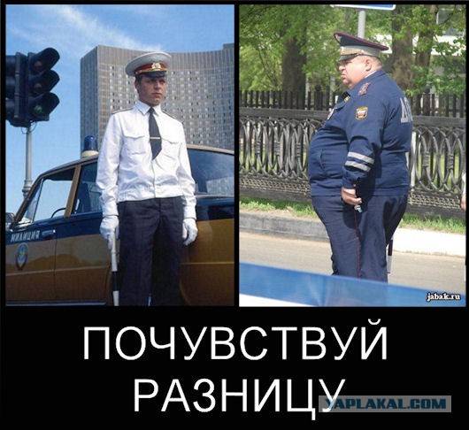Почему в россии переименовали милицию в полицию? - zefirka