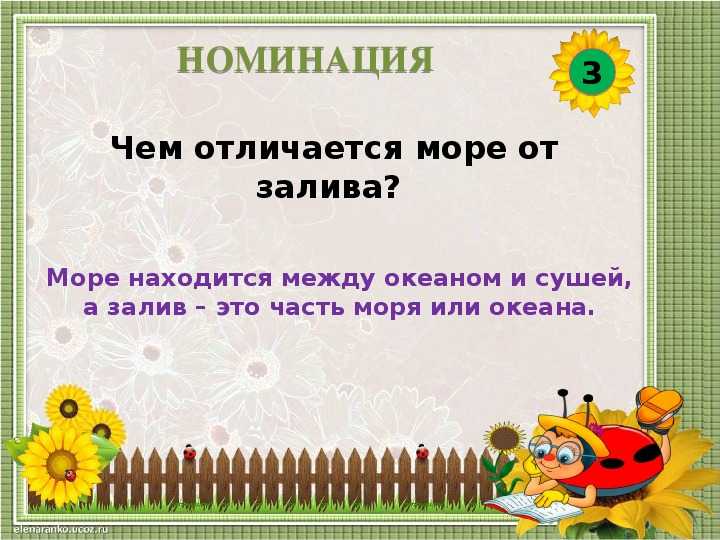 Чем отличаются моря от океанов кратко. чем отличается море от залива? в чем заключается разница между морем и заливом