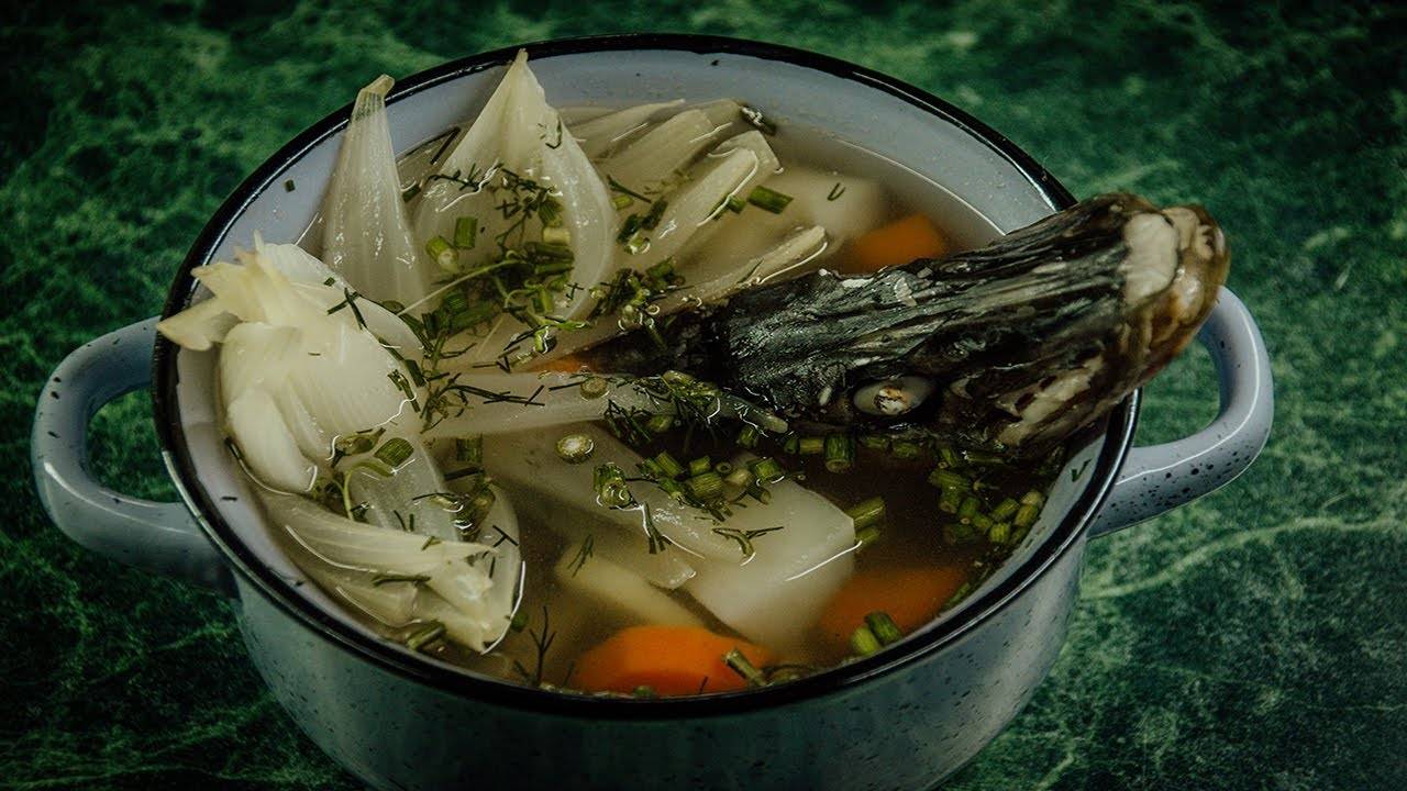 Отличие ухи и рыбного супа