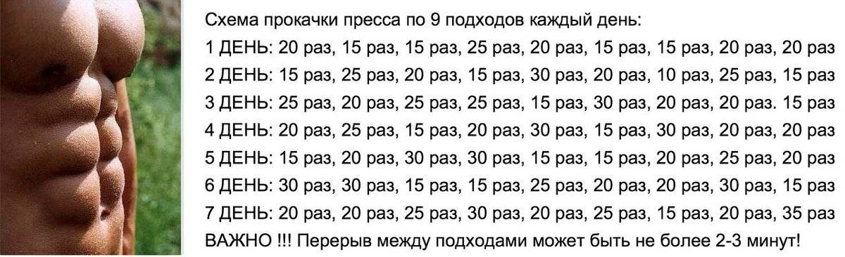 Как накачать пресс ✔ анатомия брюшных мышц и лучшие упражнения