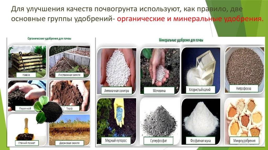Удобрения | справочник по защите растений, id:636 — агроxxi