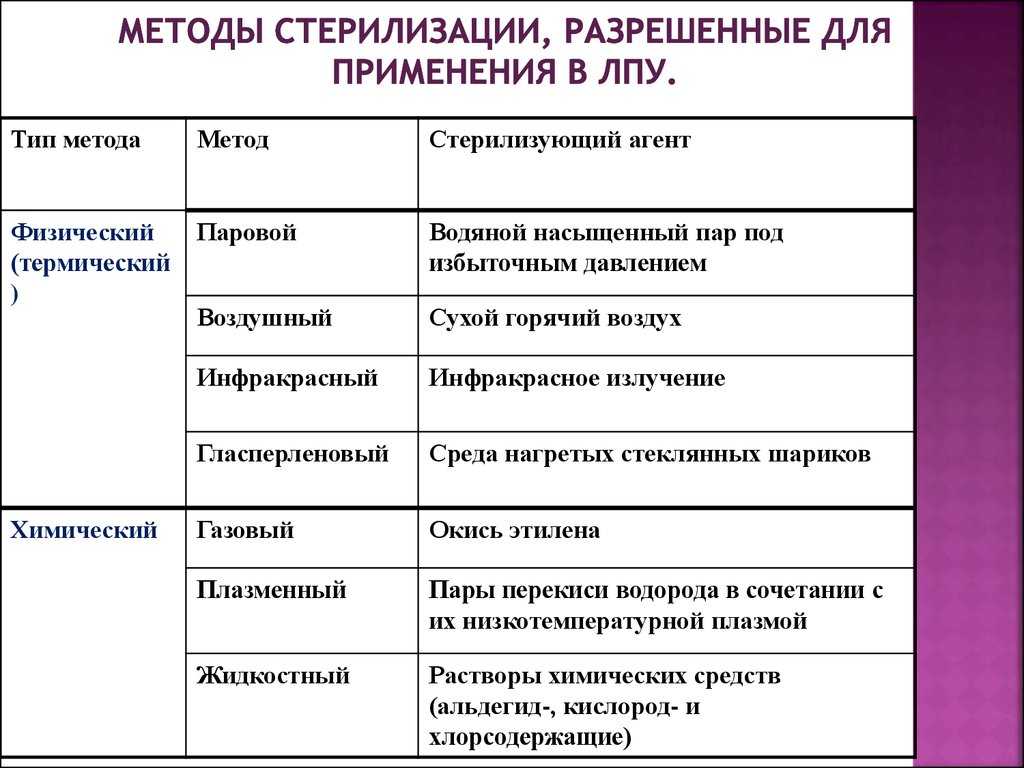 Кастрация и стерилизация кошки: плюсы и минусы, забота после операции