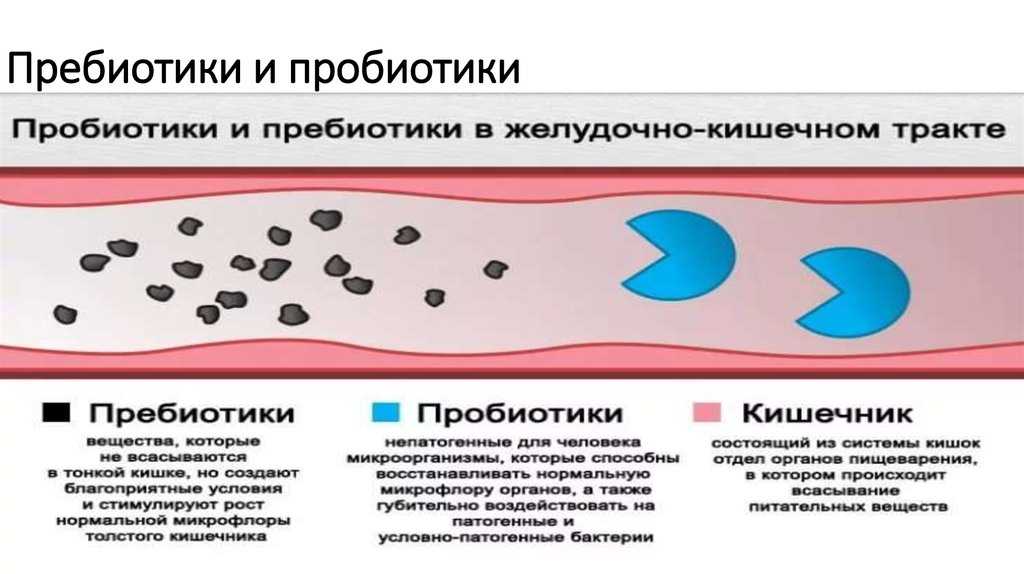 Разница между пробиотиками и пребиотиками