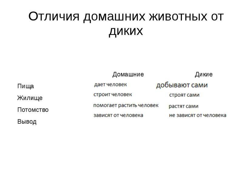 Чем отличаются домашние животные и культурные растения от диких. культурные растения, «одомашненные» человеком