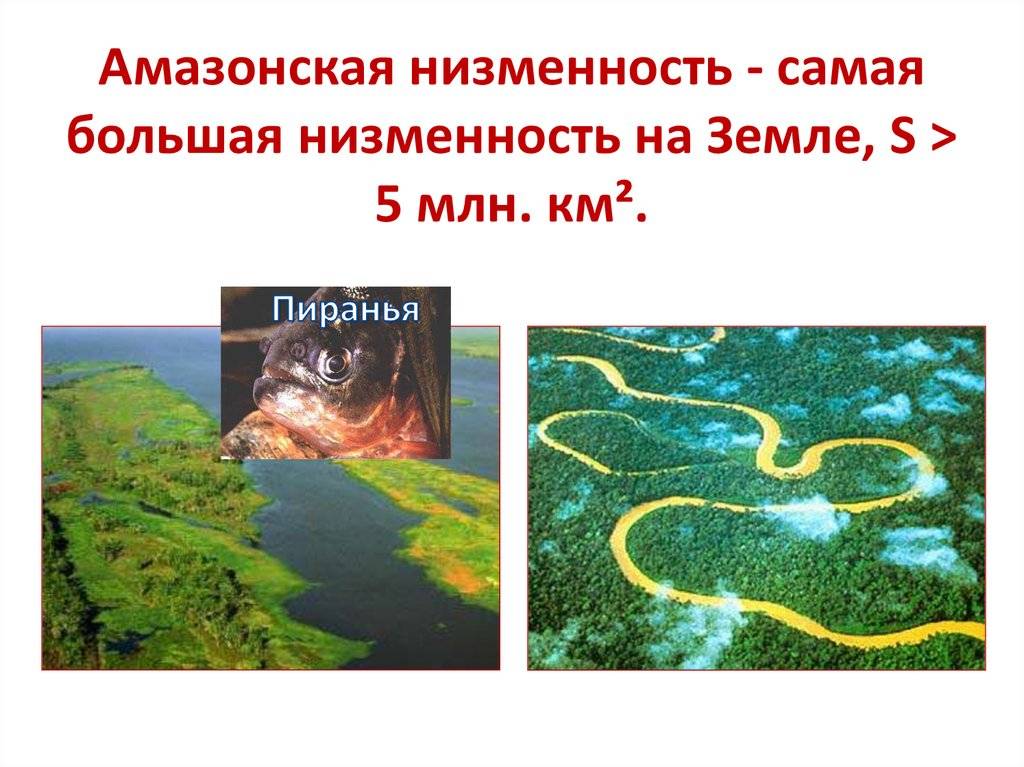 Крупнейшие равнины земного шара. равнины, низменности, возвышенности, плоскогорья