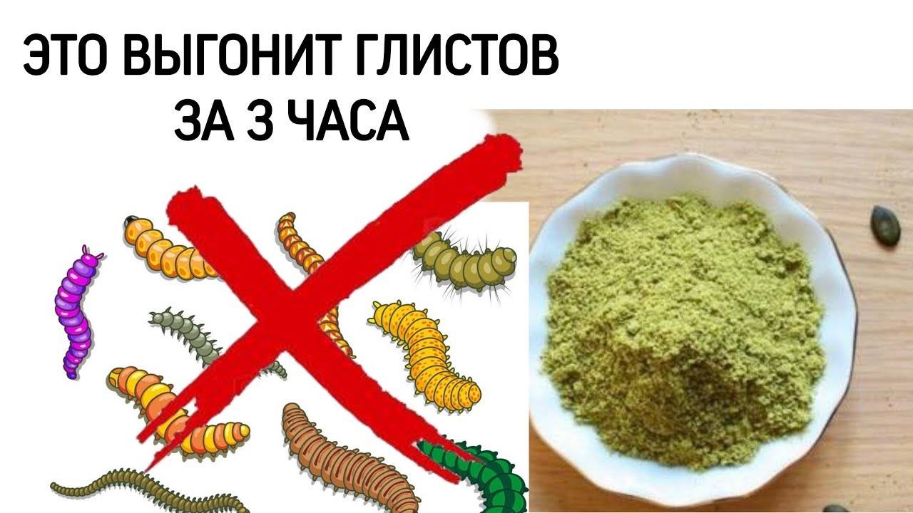 Как избавиться от глистов в домашних условиях за 1 день, быстрое избавление взрослого человека от гельминтов народными средствами, методами или таблетками?