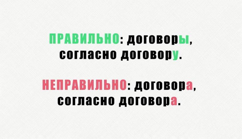 Договора или договоры, договор: как правильно пишется слово?