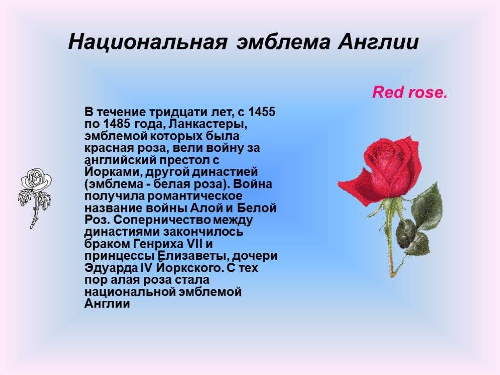 Символы британии