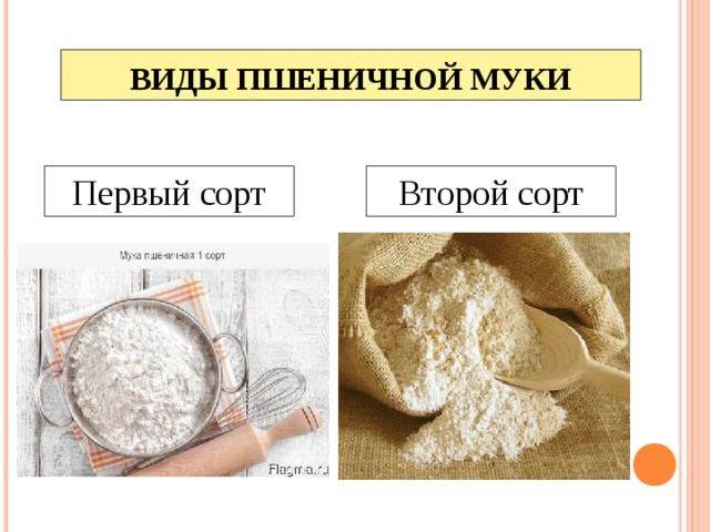 Как правильно работать с пшеничной мукой в рецептах разной выпечки - 1000.menu