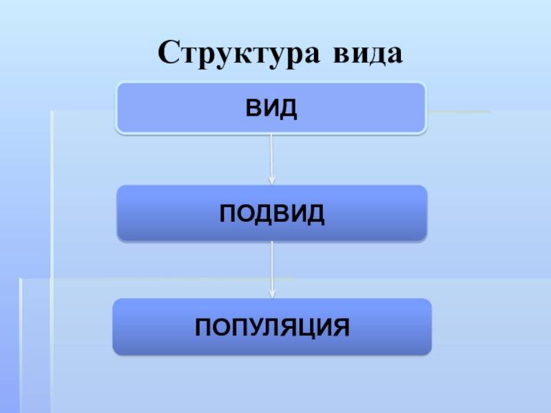 Принципы систематики животных и правила зоологической номенклатуры [1974 друщиц в.в. - палеонтология беспозвоночных]