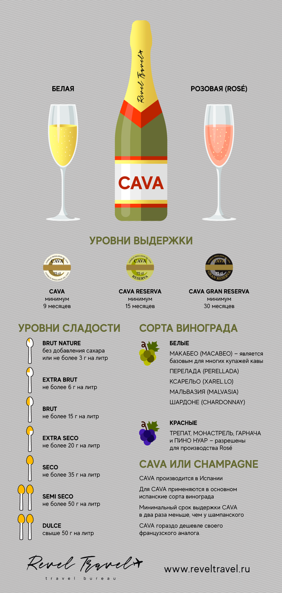 Шампанское и игристое вино — в чем разница, какие отличия?