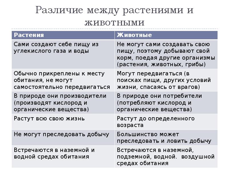3.4. отличия растений от животных. экология: конспект лекций.