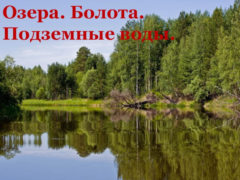 Что такое озеро и болото
