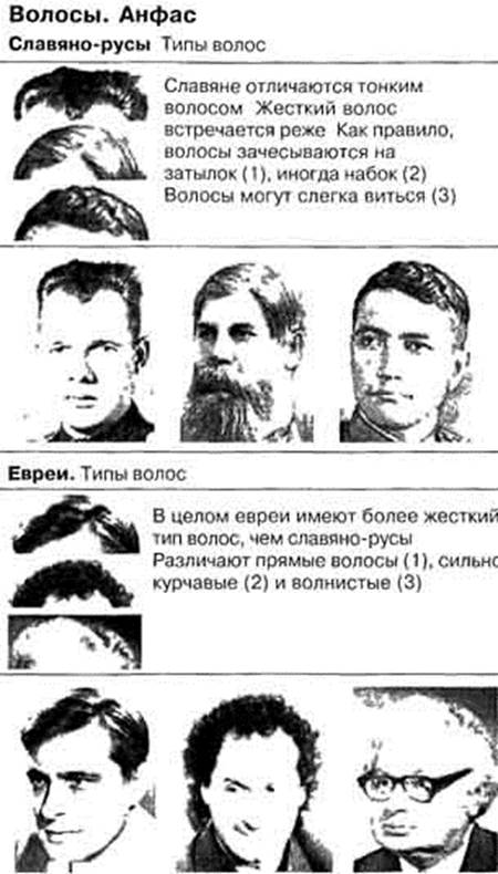 Как выглядят евреи, внешность женщин и мужчин фото, отличительные характерные черты еврейской национальности - женская жизньженская жизнь