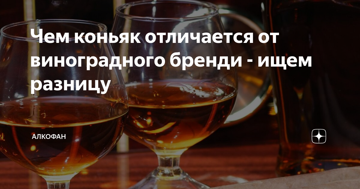 Чем отличается бренди от коньяка: что лучше и в чем разница, сравнение