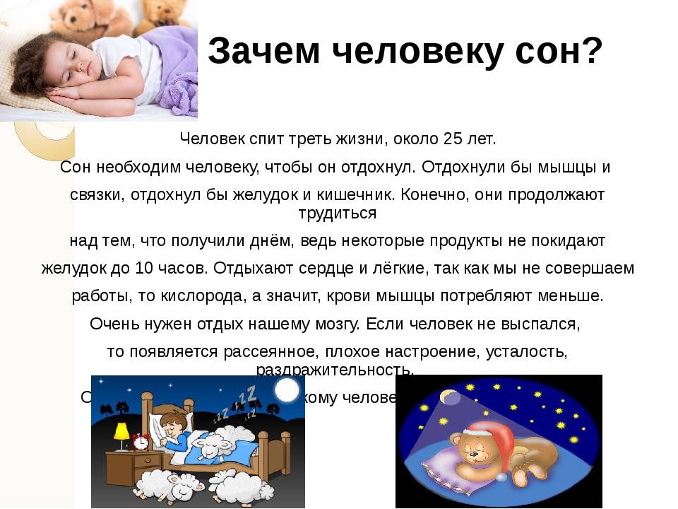 Урок 1. что такое сон?
