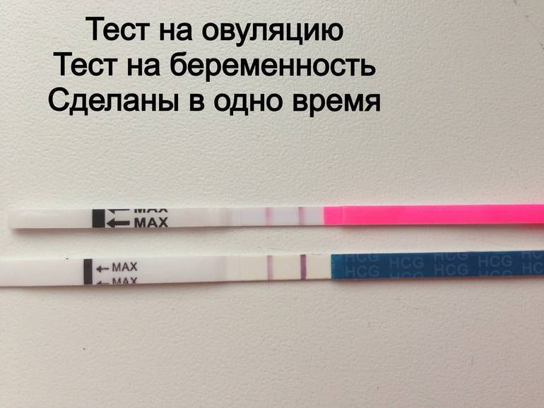 Тест на овуляцию: инструкция, когда проводить, для чего используется | азбука здоровья