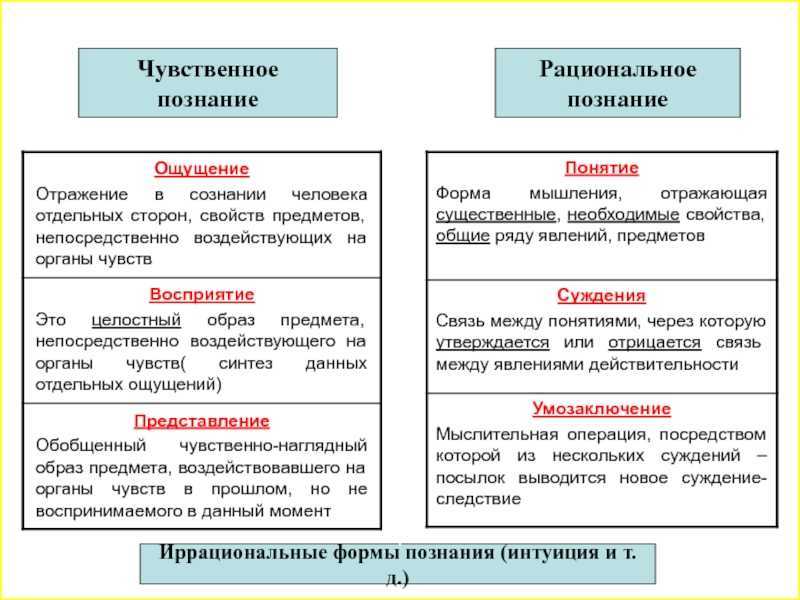 Чувственное и рациональное познание
чувственное и рациональное познание
