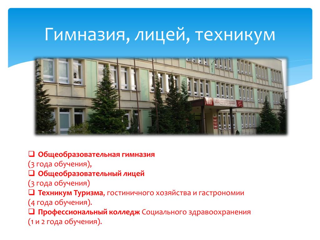 Самые популярные вопросы о разнице колледжа и вуза