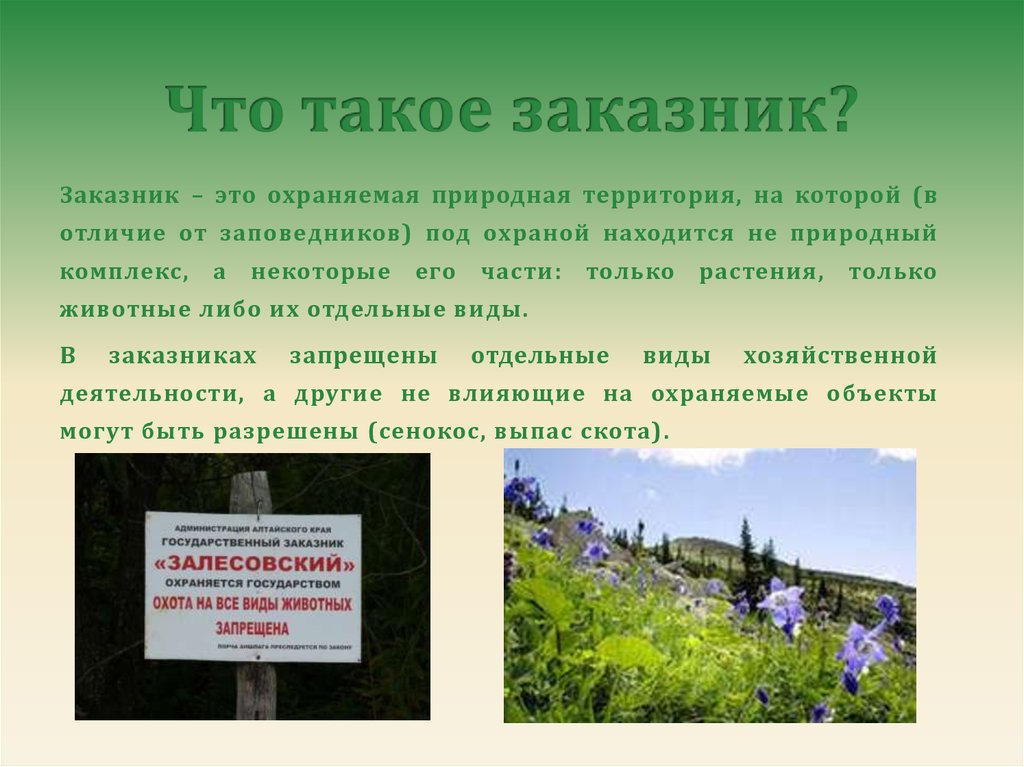Отличие заповедника от заказника — главные различия