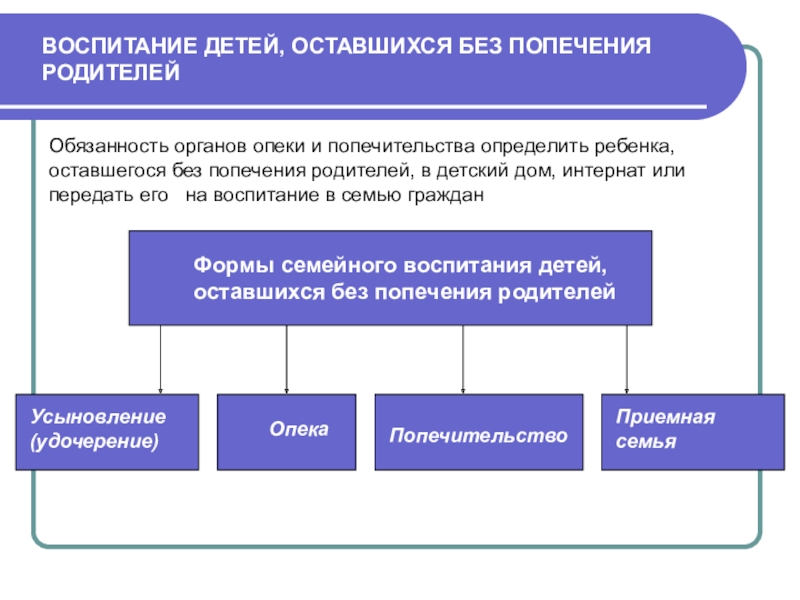 Чем отличается опека от усыновления и что лучше
чем отличается опека от усыновления и что лучше