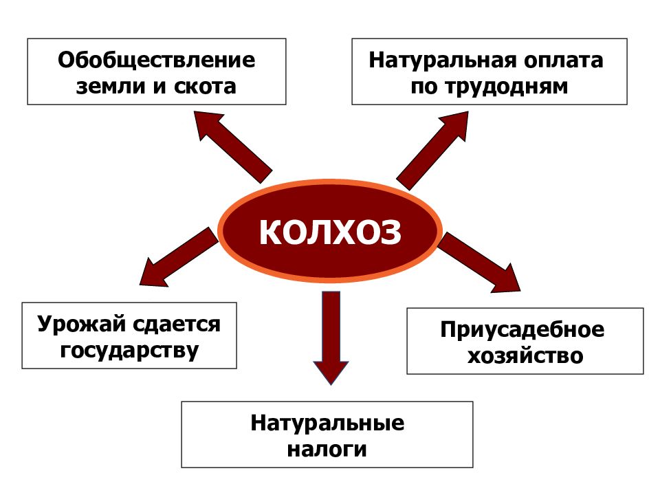 Отличия колхозов от совхозов: общественное владение против государственной собственности