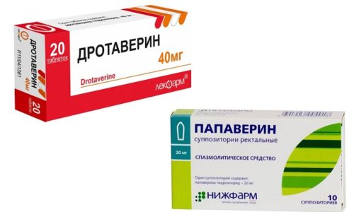 Но-шпа: инструкция, как пить до еды или после