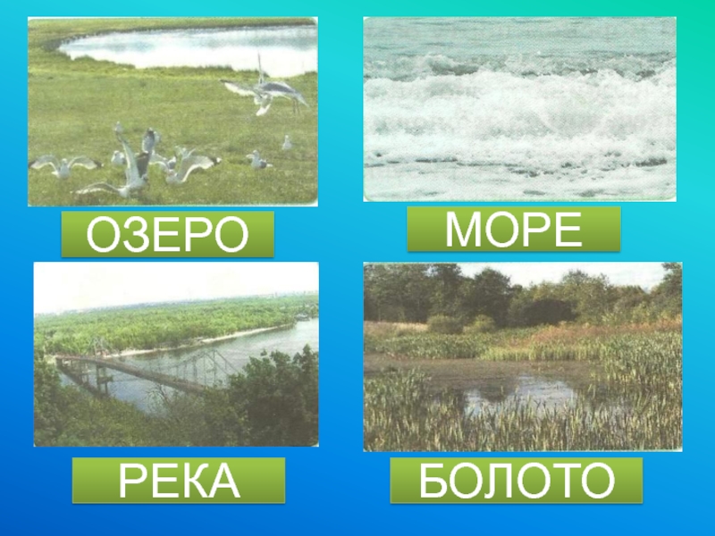 Озера и болота