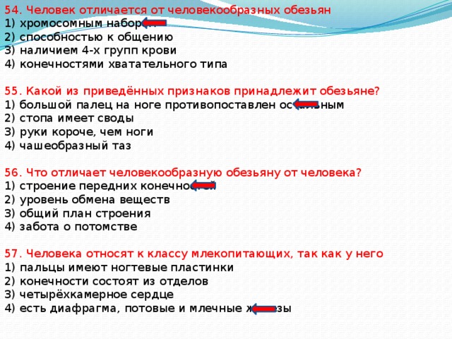 Чем человек отличается от обезьяны: сходства и различия
