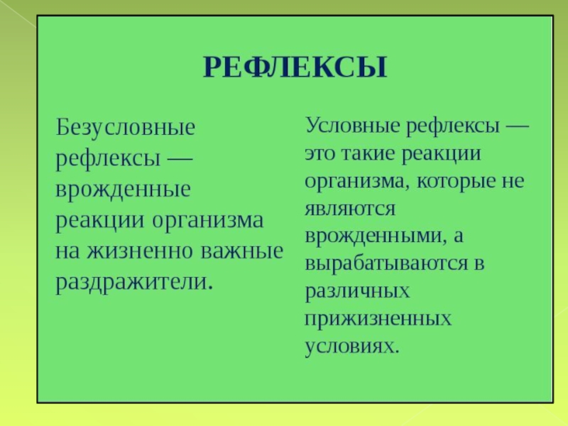 Инстинкты в отличие от безусловных рефлексов