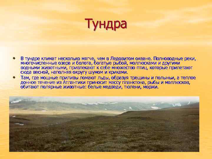 Природные зоны россии — карта, названия, географическая характеристика и таблица